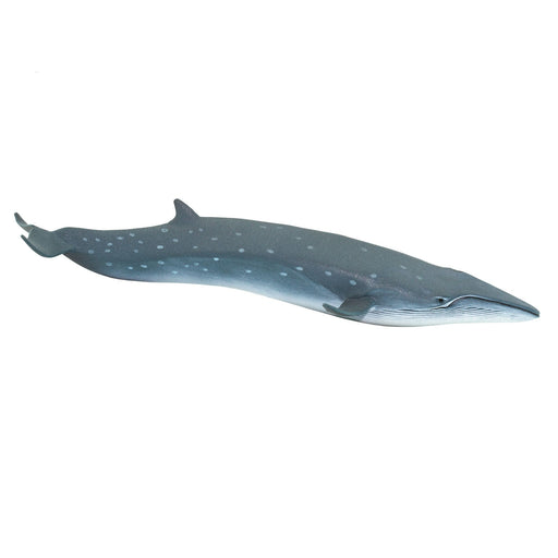 Megamouth Shark Toy, Sea Life