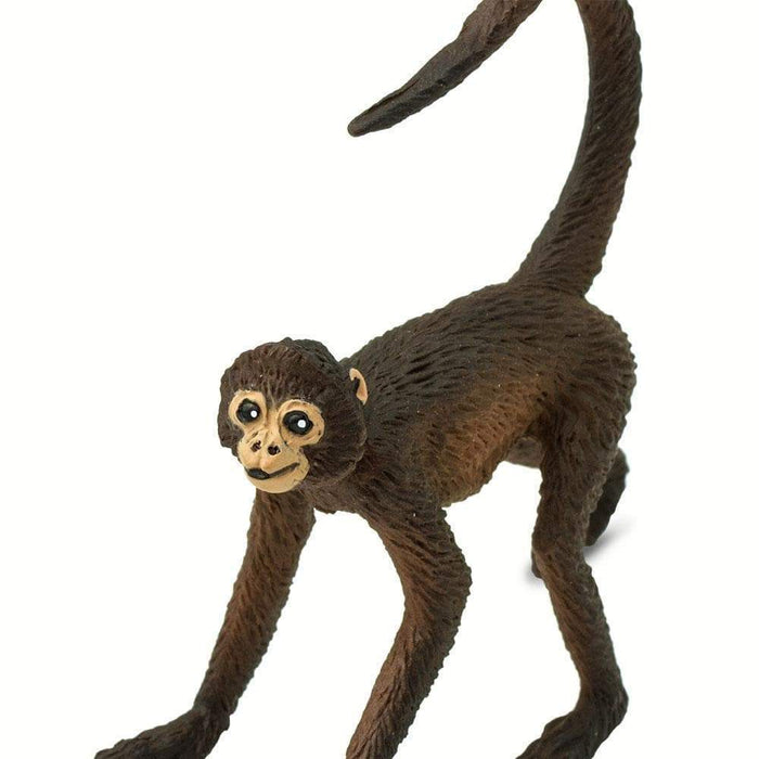 stuffed spider monkey