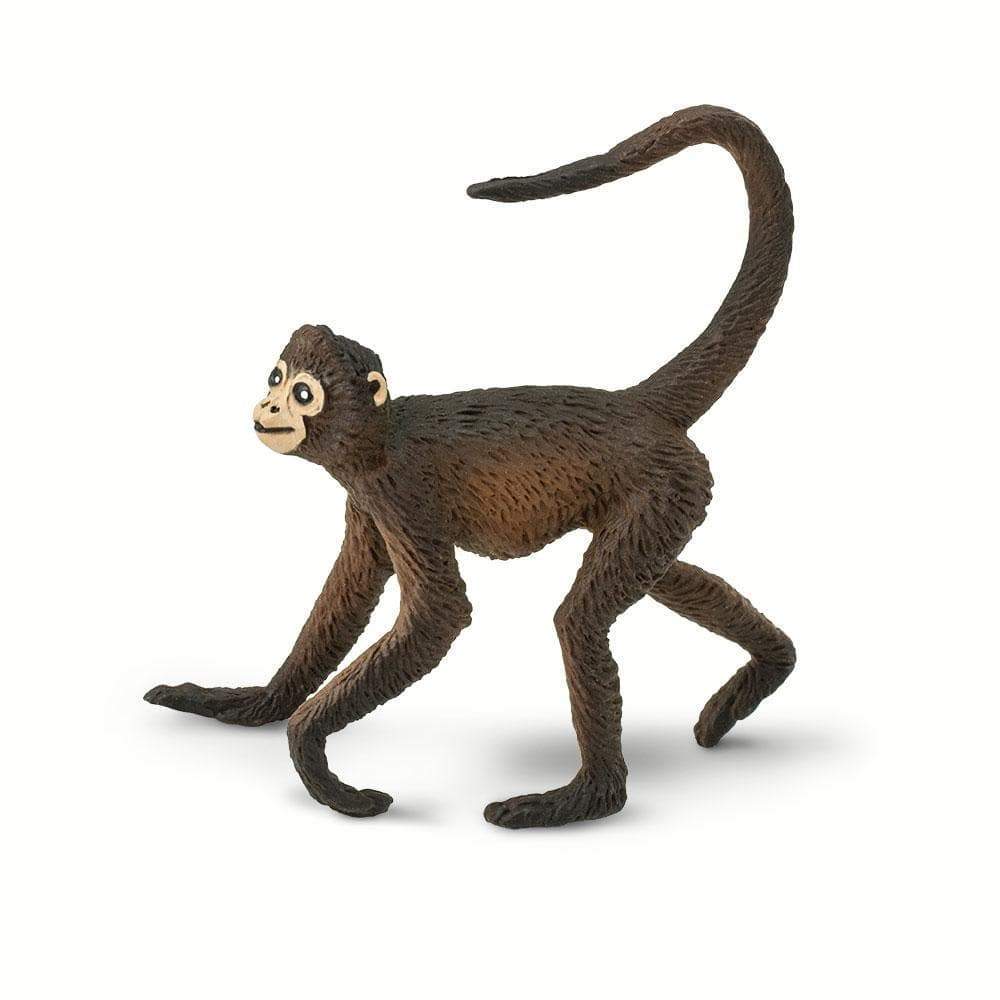 plush spider monkey