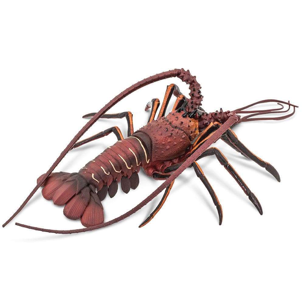 Boston Lobster - Food Fantasy - Zerochan Anime Image Board
