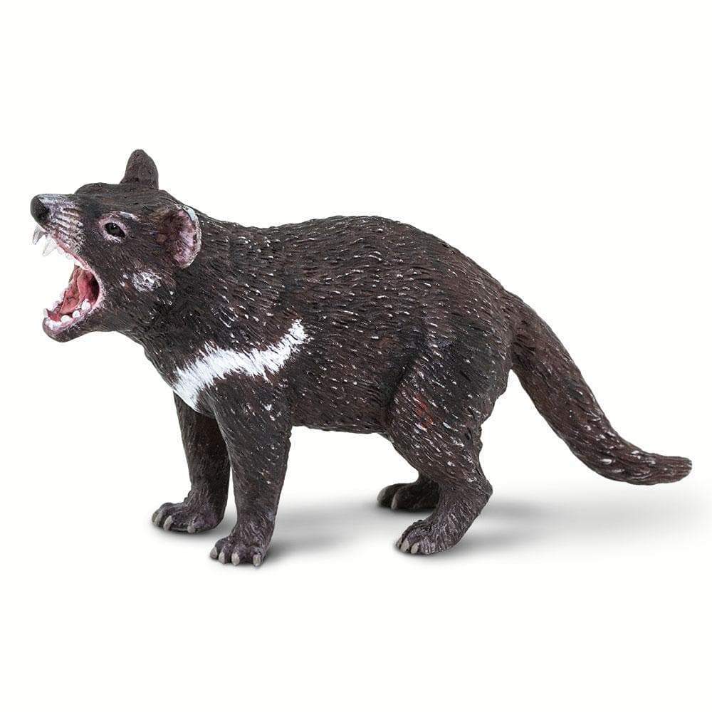 Tasmanian Devil Toy | Safari Ltd®