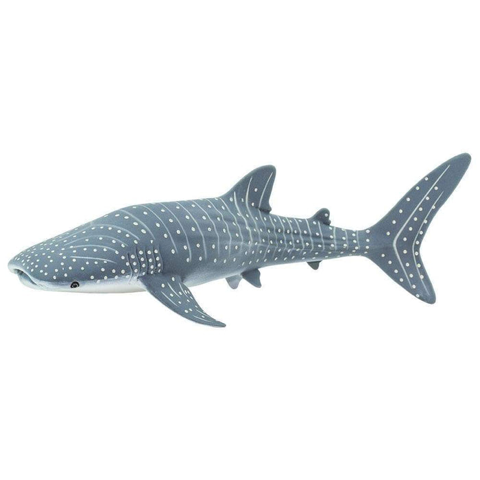 whale shark teddy