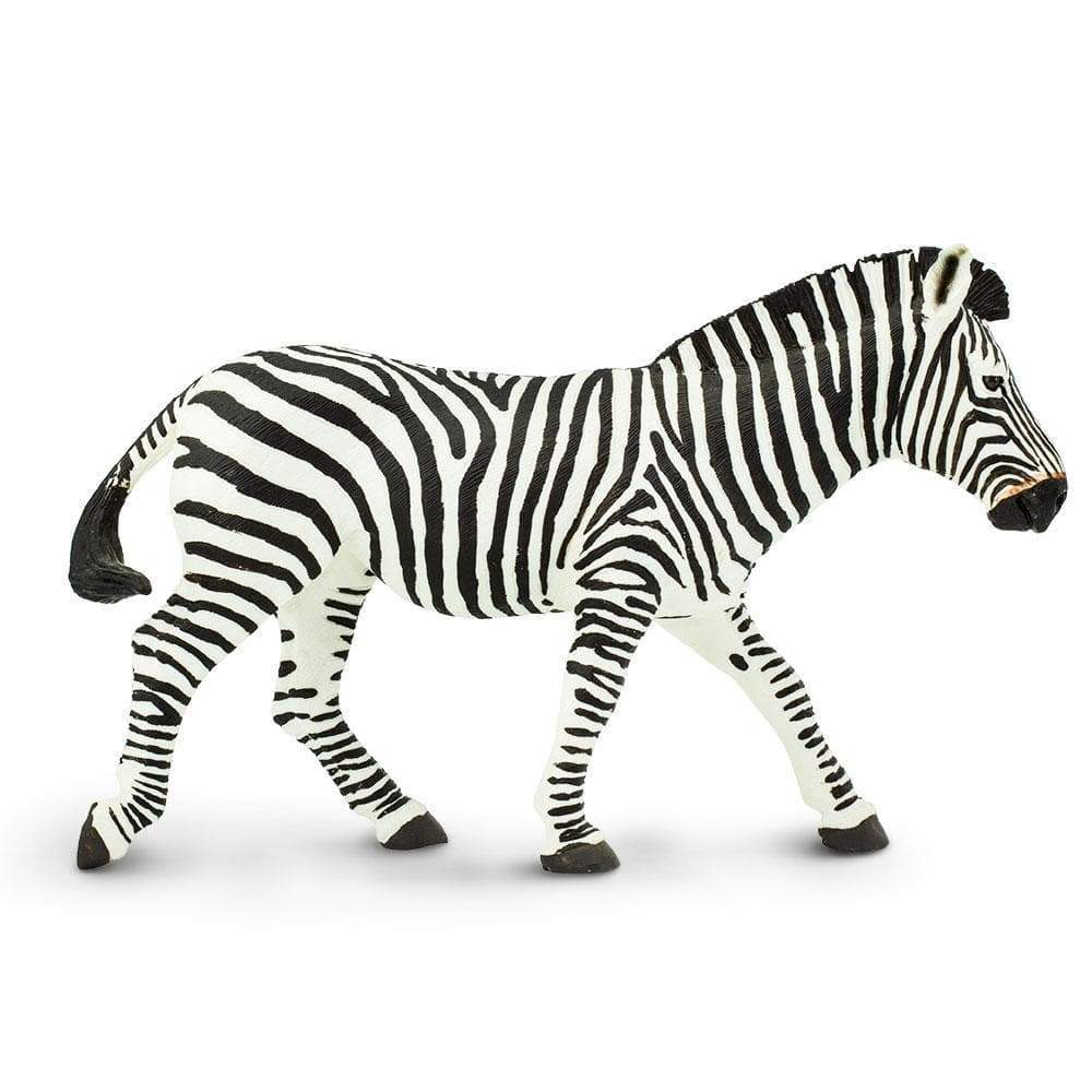 safari ltd zebra