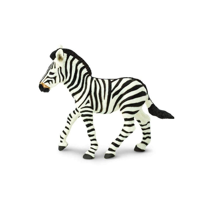 safari ltd zebra