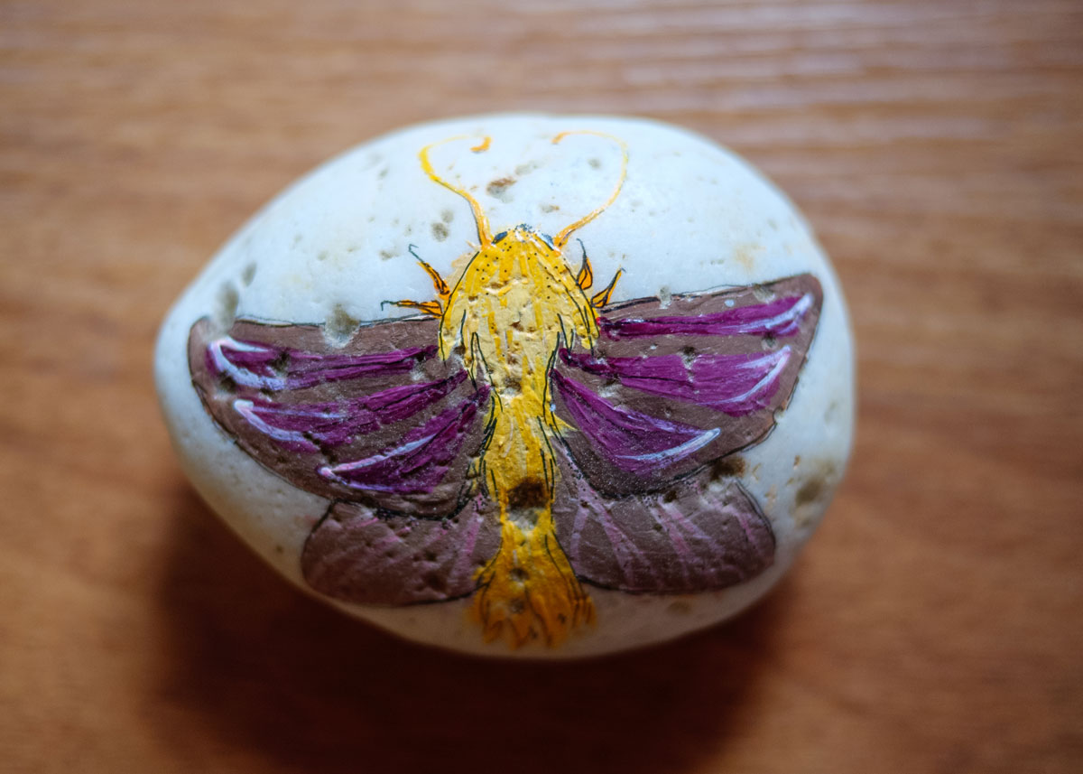 rock with a dragonfly painted on it