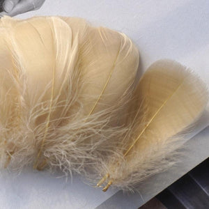 100pcs 8-12 Cm Middle Floating Goose Feather Natural Colourful Feather for Wedding Party Clothing Decoration DIY Craft Feathers-Arts, Crafts & Sewing›Scrapbooking & Stamping Supplies›Embellishments›Feathers-Très Elite-Light coffee-8-12cm 100pcs-Très Elite