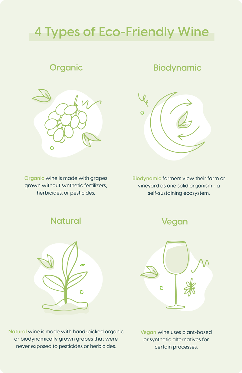 4 types of eco-friendly or sustainable wines - organic, biodynamic, natural and vegan