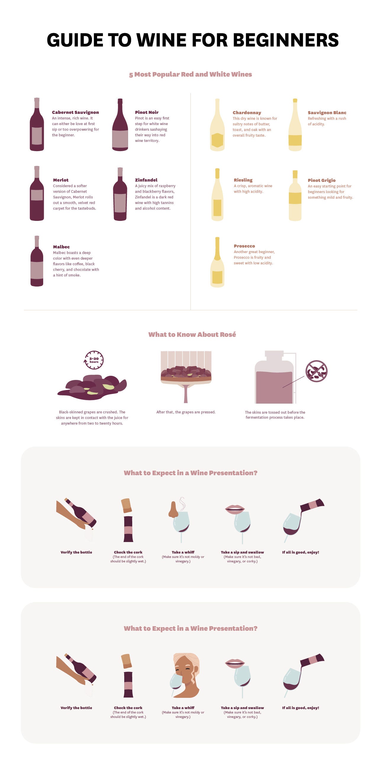 Types of Wine Glasses (Infographic) for Beginners