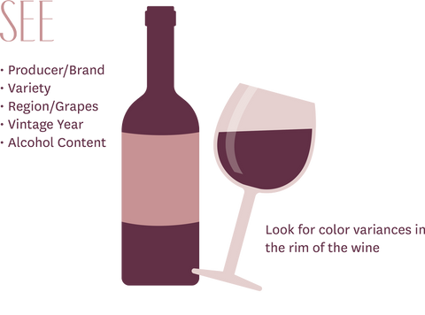 How to Properly Taste Wine - See Infographic Step 1