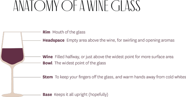 What sort of wine glasses should you buy?