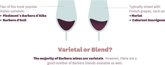 Barbera Wine is a Varietal of Wines from Italy