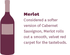 Merlot Wine Basics