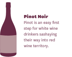 Pinot Noir Basics