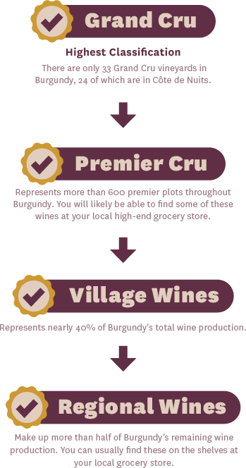 Burgundy Wine Classifications