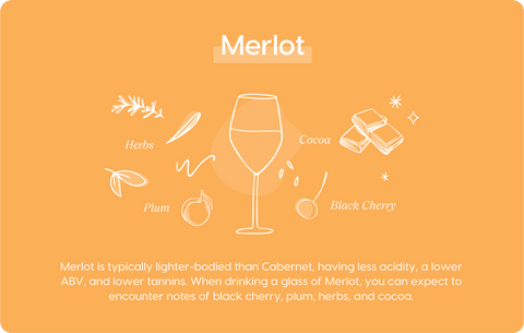 Tasting Notes of Merlot