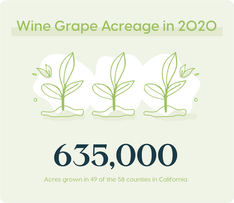 635,000 Acres of Wine Grapes