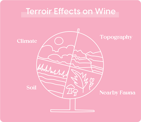 California Terroir (climate, environment, and soil) Affects on Wine