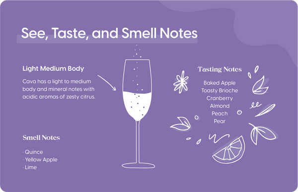 See, Taste & Smell Notes of Cava Sparkling Wine