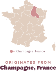 Champagne Originated in Champagne, France