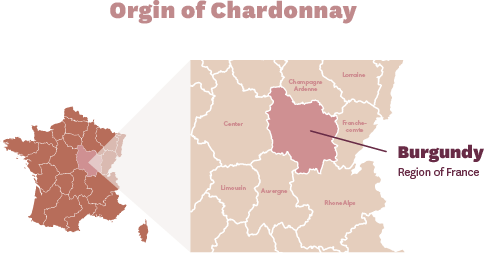 Origin of Chardonnay Wines