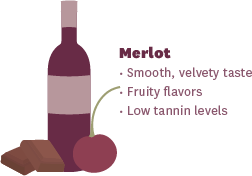 Dry Red Wines: Merlot tasting guide and flavor notes infographic