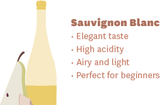 Dry White Wines: Sauvignon Blanc tasting guide and flavor notes infographic