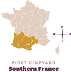 First Vineyards in Southern France