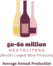 Italian Wine Production