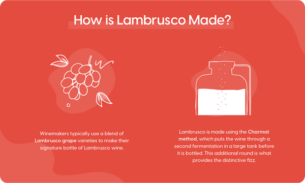 Lambrusco - How It's Made