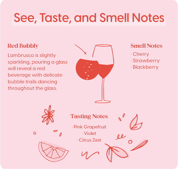 Lambrusco - See, Smell & Tasting Notes
