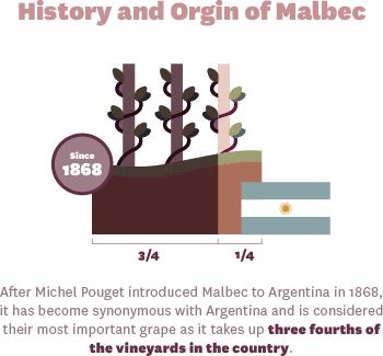 History and Origin of Malbec Wines