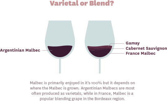 Malbec Single-Varietal or Blended with Cabernet Sauvignon and Gamay
