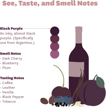 Malbec Taste and Smell Notes