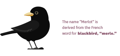 The name "merlot" is derived from the French word for Blackbird, "merle"