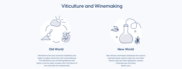 New World vs Old World Winemaking