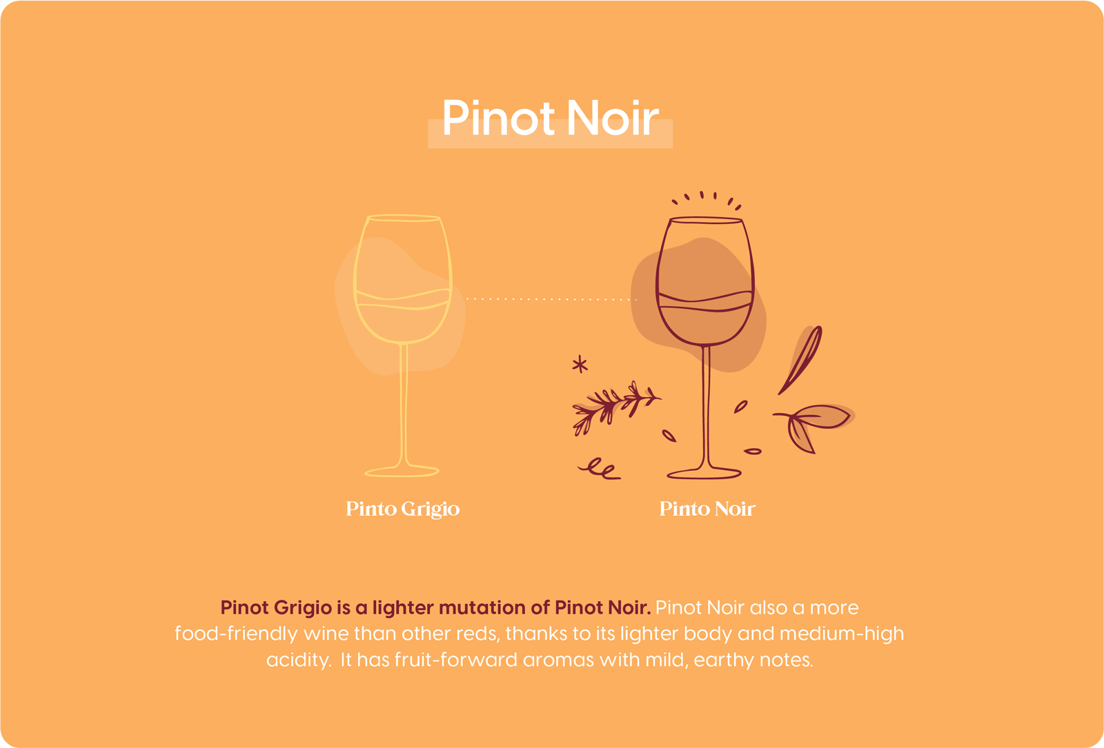 Pinot Grigio vs Pinot Noir