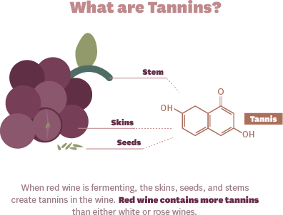 Tannins in Red Wine - what are tannins?