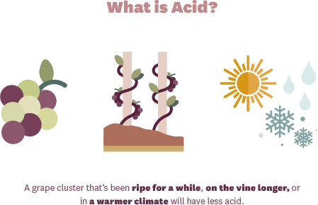 Acidity of Rose Wine