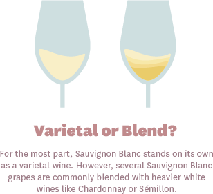 Sauvignon Blanc is a Varietal or Blend?