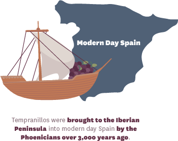 Tempranillo grapes were brought to the Iberian Peninsula into modern day Spain by the Phoenicians over 3000 years ago - infographic
