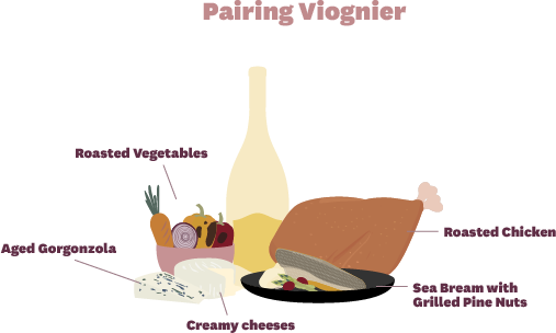 Foods that pair well with viognier white wine infographic