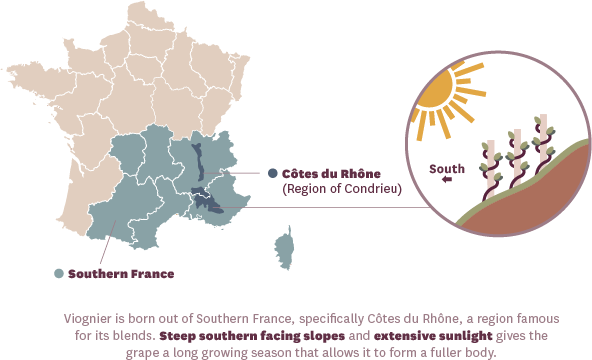 Viognier Wine Growing Regions in France