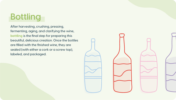 Winemaking Basics: Bottling