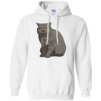 British Shorthair Cat Hoodie Sweatshirt Boys Girls Men Women Kids Yout Happytailsclothing