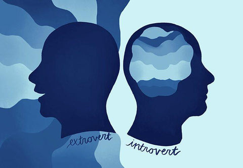 extroverts and introverts