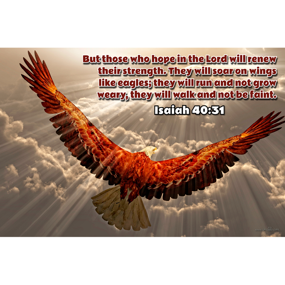 Isaiah 40:31- BV131 – Smiffle