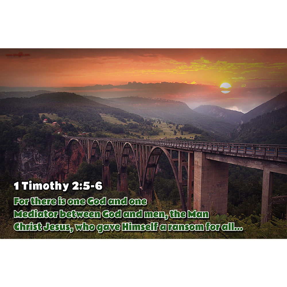 1 Timothy 25 6 Bv140