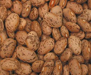 Buy Pinto Beans, Organic, 25 lbs. by Bulk | Health Foods ...