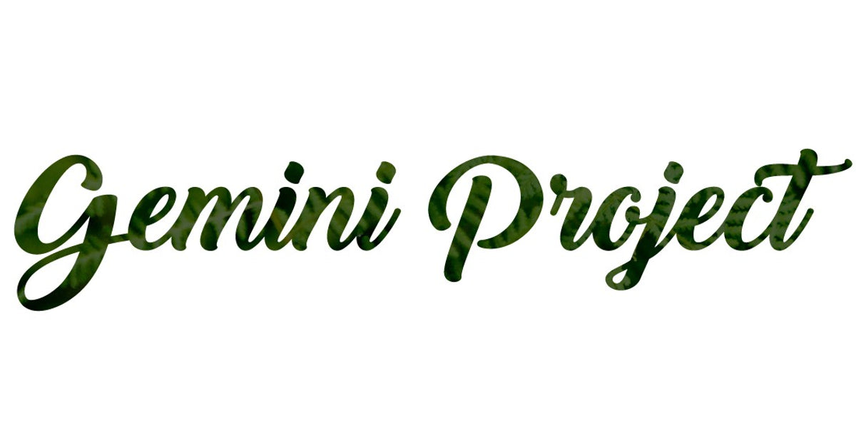 Gemini Project