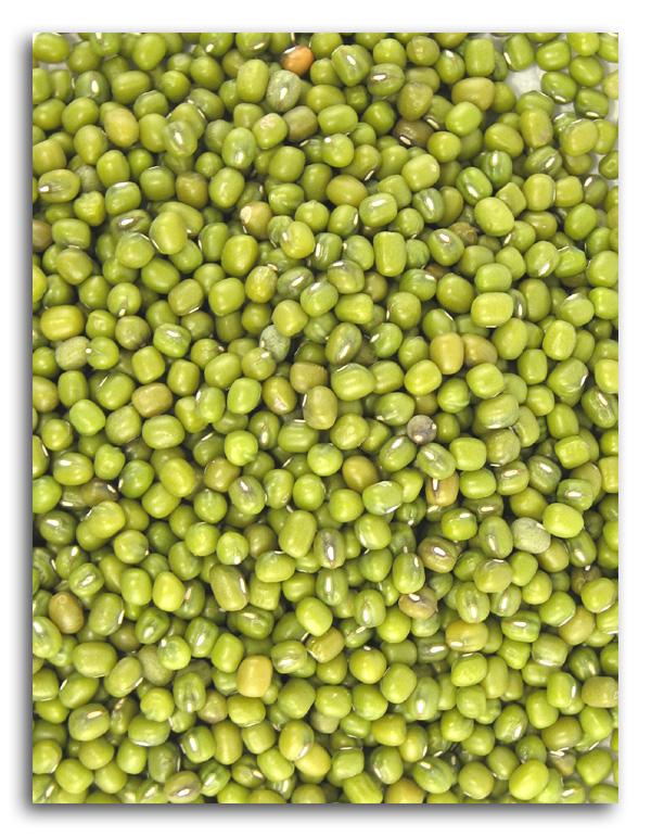 is mung beans good for dogs